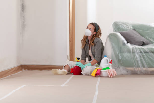 Reliable Mold Remediation contractor in Somerville, NJ by Cheap Mold Removal